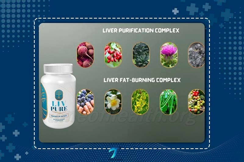 Liv Pure Ingredients